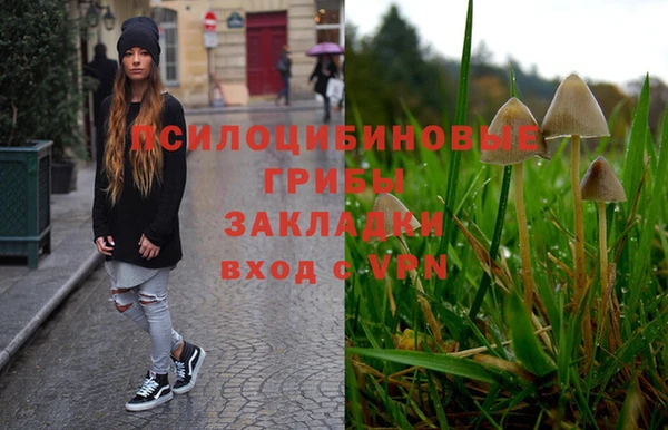 а пвп мука Арсеньев